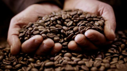 ¿Se Cerrarán las Puertas de Europa al Café Peruano?