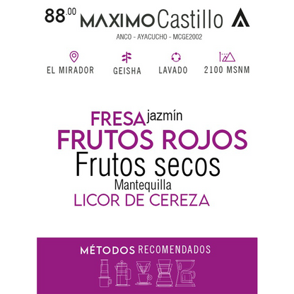 Café de Especialidad - Máximo Castillo