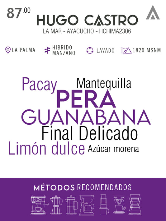 Café de Especialidad - Hugo Castro